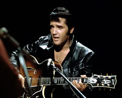 Decades After His Death The Estate Of Elvis Presley Is Still Making A Ton Of Money Celebrity Net Worth