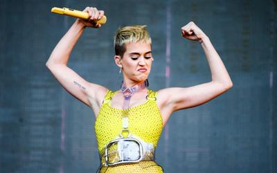 Katy Perry Making Millions Off Convent She Didn't Buy