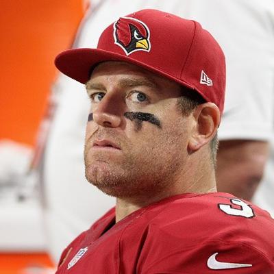 Carson Palmer Net Worth's picture