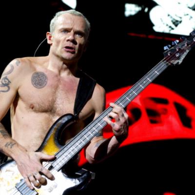 Flea Net Worth's picture