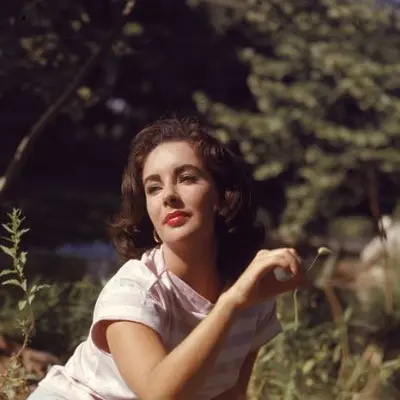 Liz Taylor Net Worth | Celebrity Net Worth