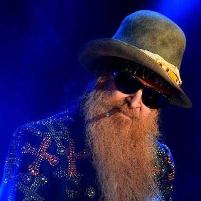 Billy Gibbons Net Worth's picture