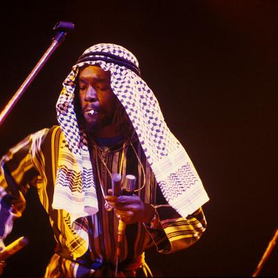 Peter Tosh Net Worth's picture