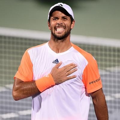 Fernando Verdasco Net Worth