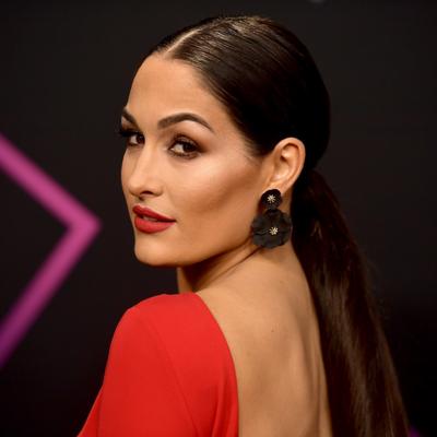 Nikki Bella Net Worth