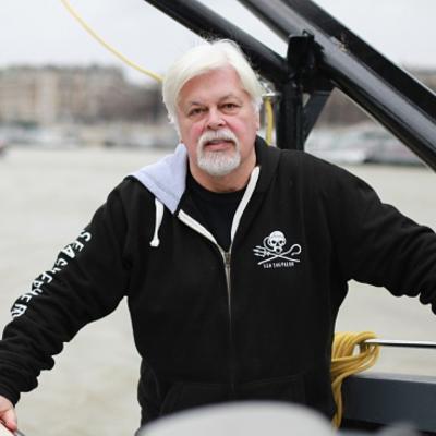 Paul Watson Net Worth's picture