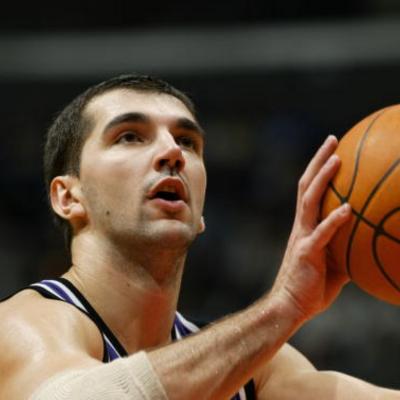 Peja Stojakovic Net Worth's picture