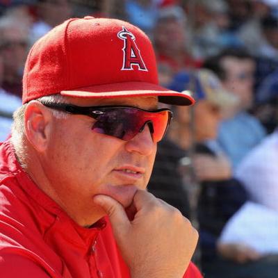 Mike Scioscia Net Worth's Picture'