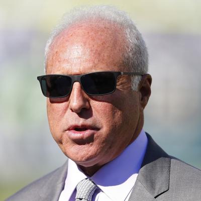 Jeffrey Lurie Net Worth's picture