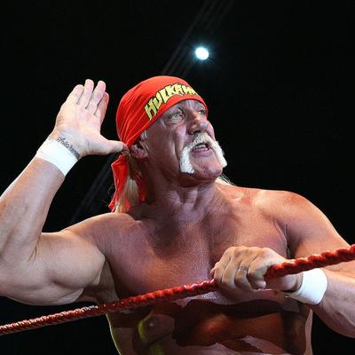 Hulk Hogan Net Worth