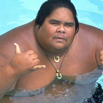 Israel "Iz" Kamakawiwo'ole Net Worth's picture