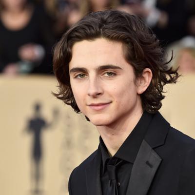 Timothée Chalamet's picture