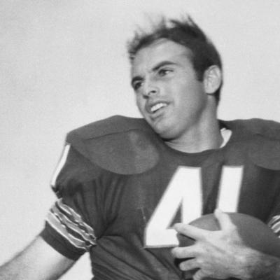 Brian Piccolo Net Worth's picture