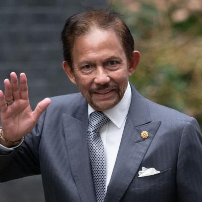 Sultan of Brunei Net Worth's picture