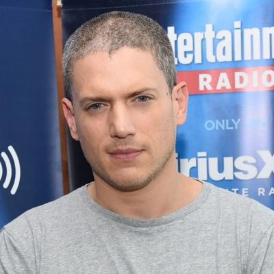 Wentworth Miller Net Worth's picture