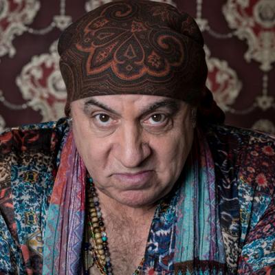 Steven Van Zandt Net Worth's picture