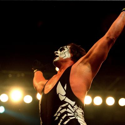 Sting (Wrestler) Net Worth