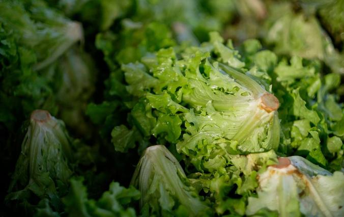 This Vertical Farming Startup Is Valued At $27.5 Million