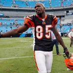 Chad Ochocinco Johnson Net Worth