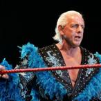 Ric Flair Net Worth