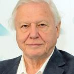 David Attenborough Net Worth