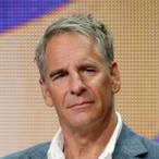 Scott Bakula Net Worth