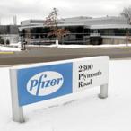 Pfizer Net Worth