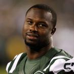 Bart Scott Net Worth