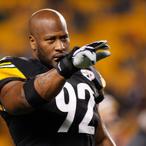 James Harrison Net Worth