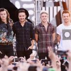 British Tax Documents Reveal One Direction's Annual Earnings… And It's Kind Of Disgusting.