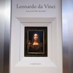 Rare Da Vinci Painting Breaks The Bank At Auction