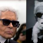 Karl Lagerfeld's Cat, Choupette, Might Inherit His $300 Million Net Worth