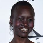 Alek Wek Net Worth