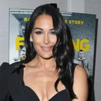 Brie Bella Net Worth