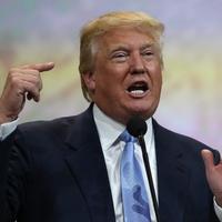 Donald Trump Net Worth