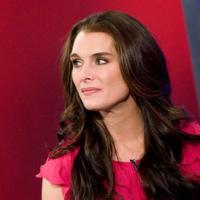 Brooke Shields Net Worth
