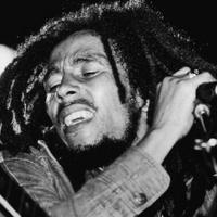 Bob Marley Net Worth