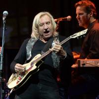 Joe Walsh Net Worth