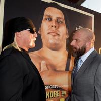 Andre the Giant Net Worth