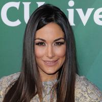Brie Bella Net Worth