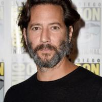 Henry Ian Cusick Net Worth