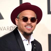 Chris Brown Net Worth