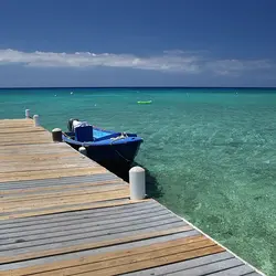 Kenneth Dart Net Worth | Celebrity Net Worth