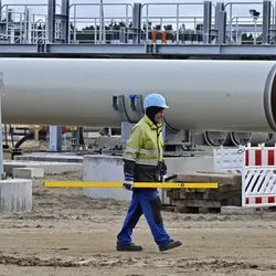 Randa Williams Net Worth | Celebrity Net Worth