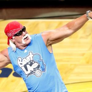 Hulk Hogan Net Worth