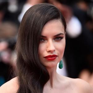 Adriana Lima Net Worth