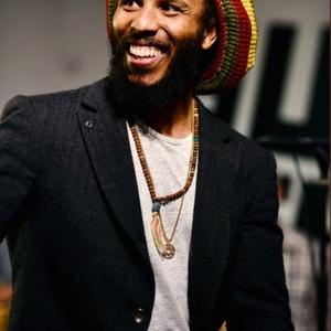 Ziggy Marley Net Worth
