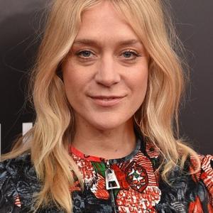 Chloe Sevigny Net Worth | Celebrity Net Worth