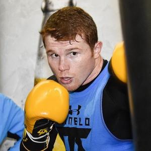Saul Alvarez Net Worth