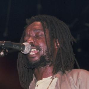 Peter Tosh Net Worth